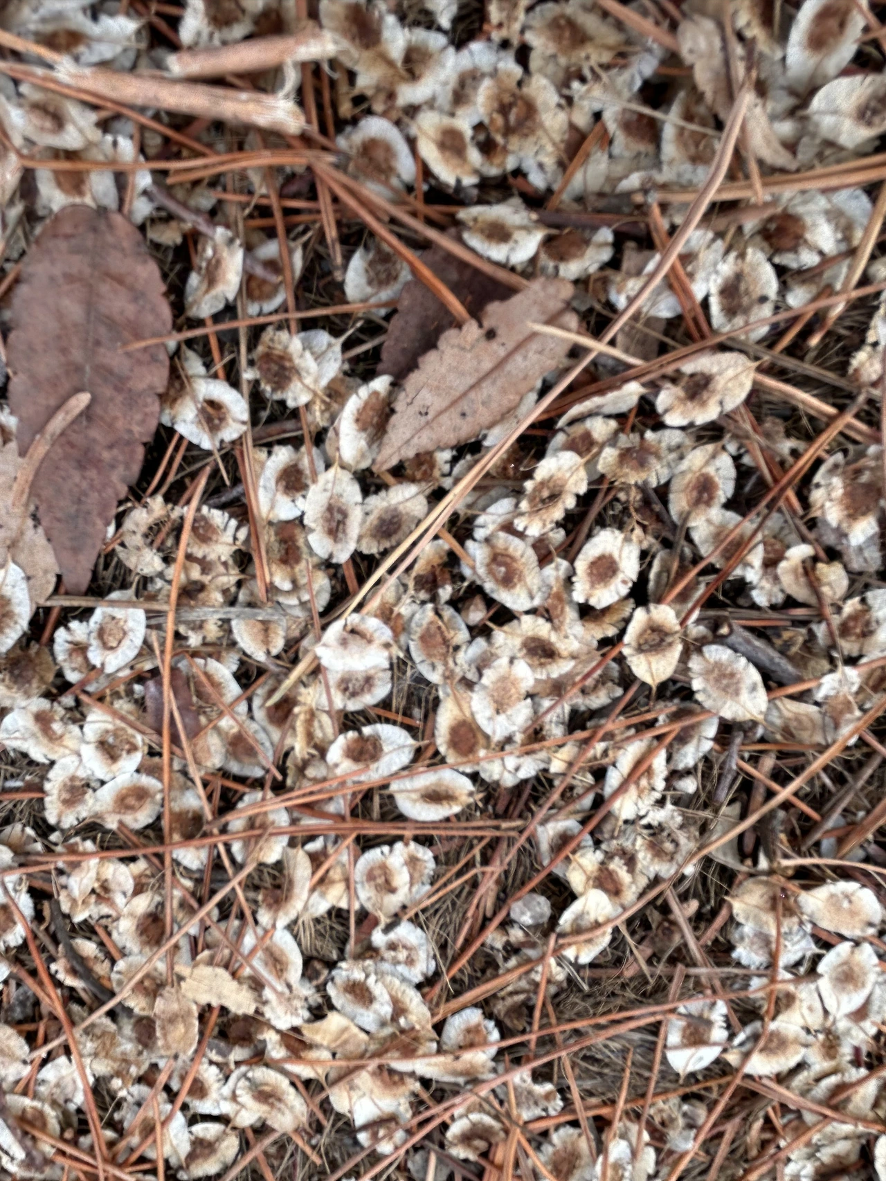 IMG_2932.JPG?type=w3840