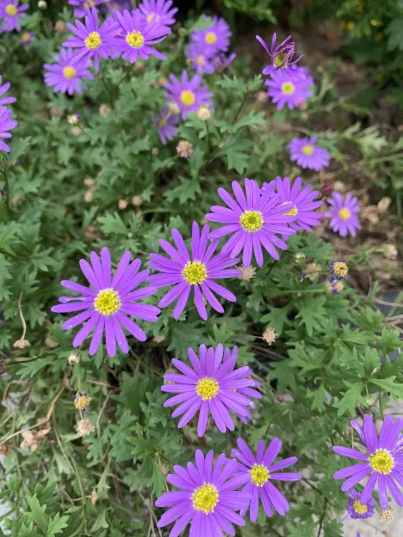 IMG_9478.JPG?type=w580