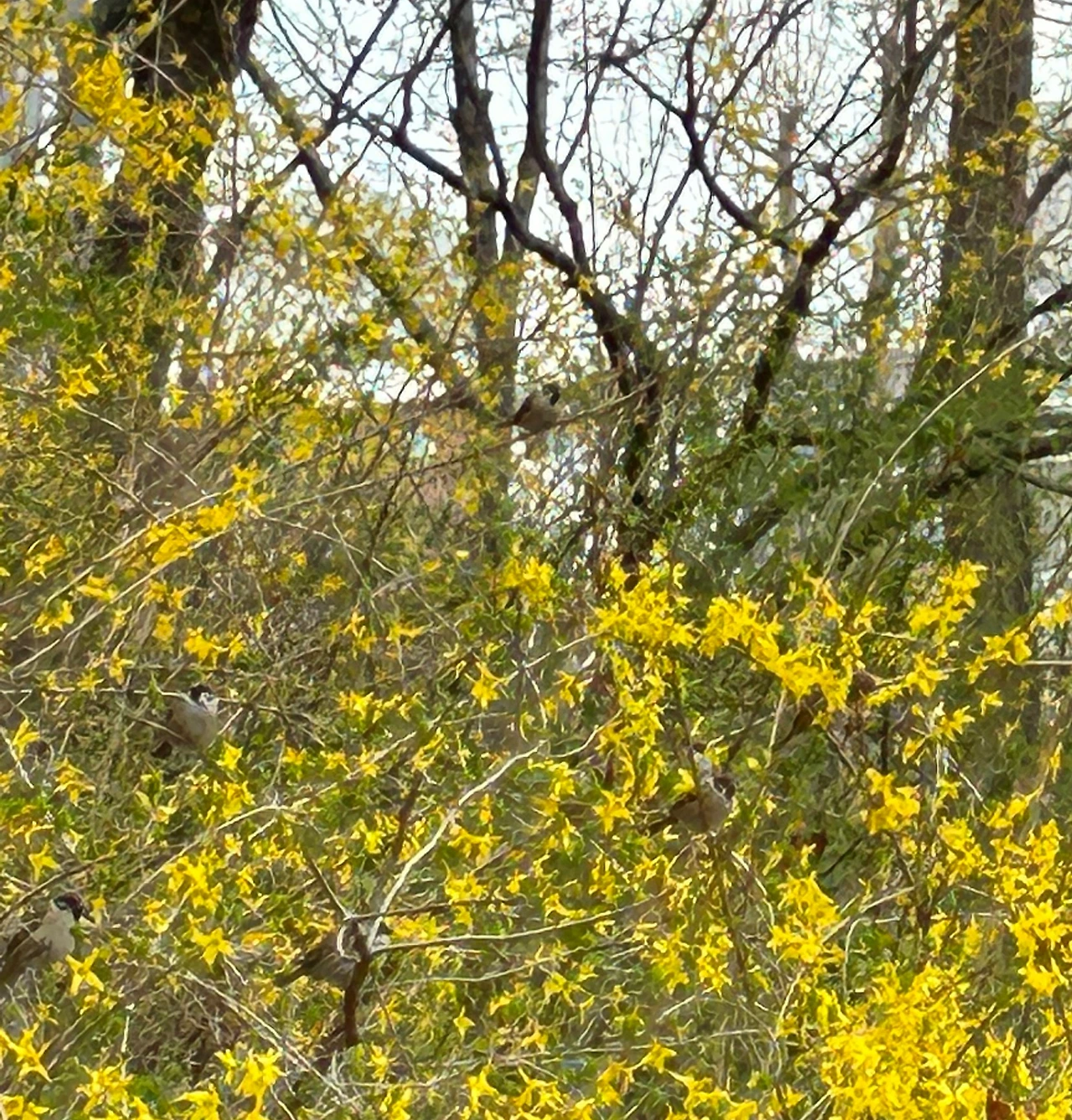 SE-bb54ad0a-7e37-4c75-99c4-55b3c8251139.jpg?type=w3840