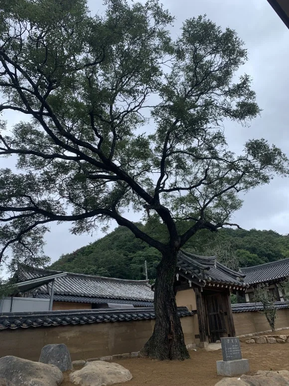 IMG_9311.JPG?type=w580