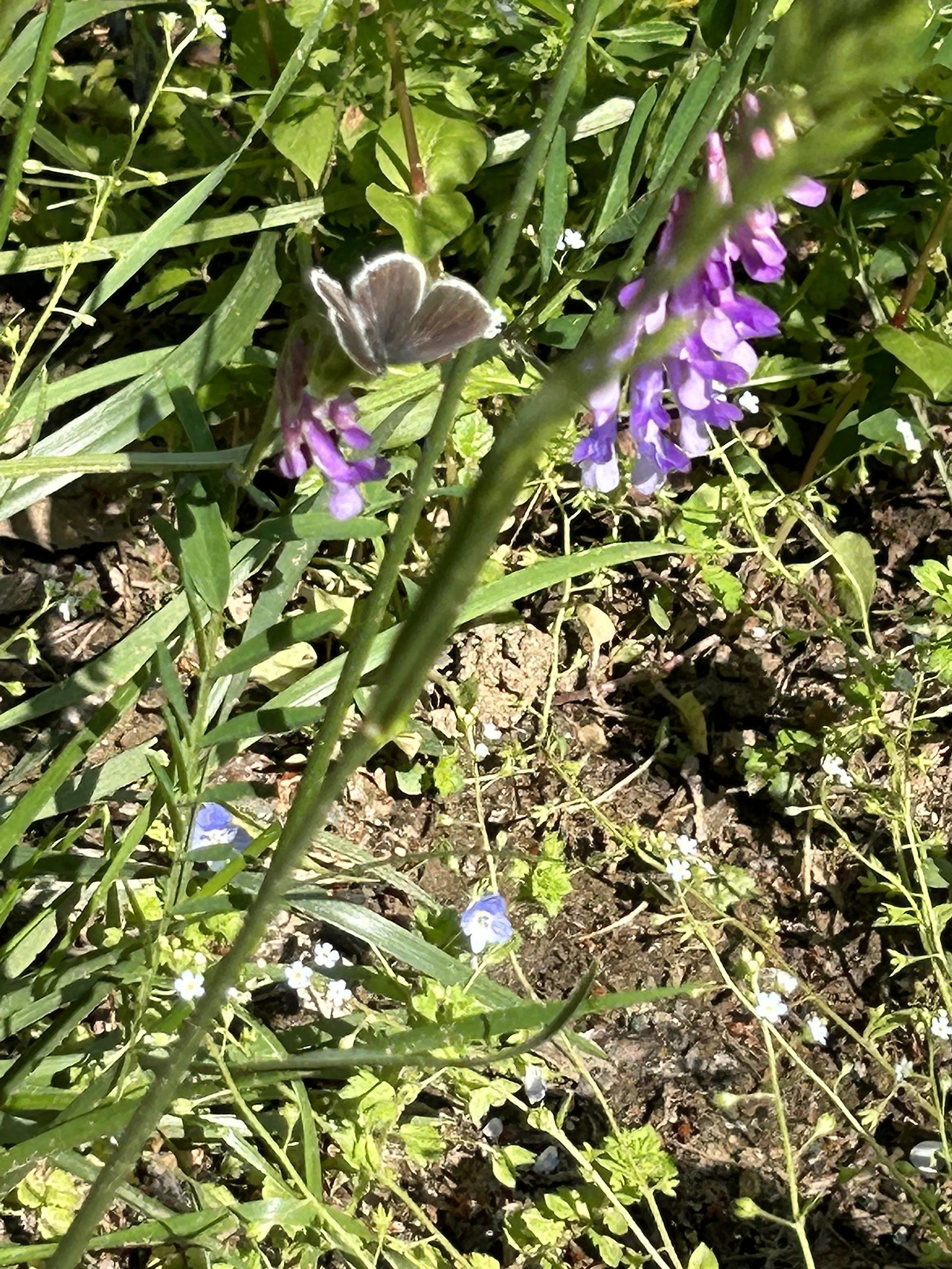 IMG_5548.JPG?type=w3840