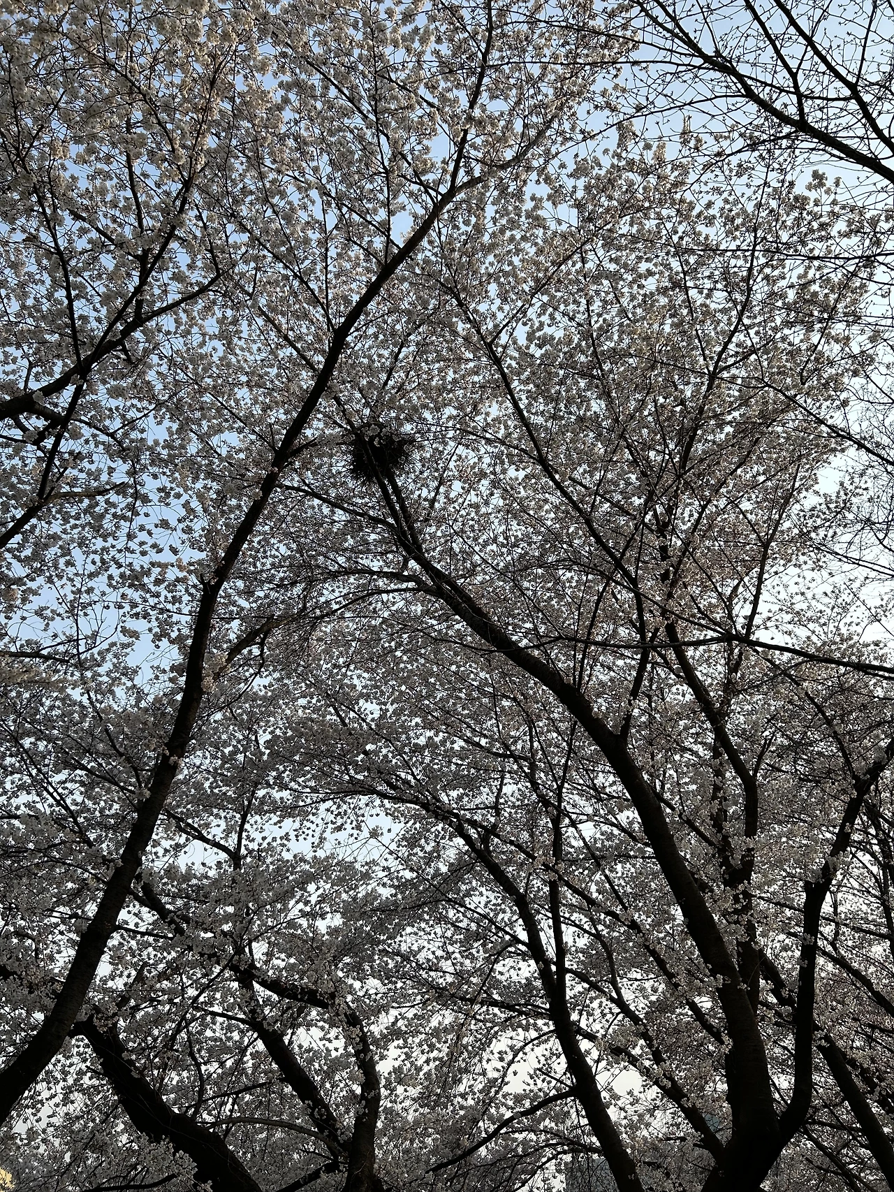 %EA%B9%8C%EC%B9%98%EC%A7%91.JPG?type=w3840