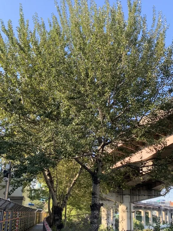 IMG_0499.JPG?type=w580