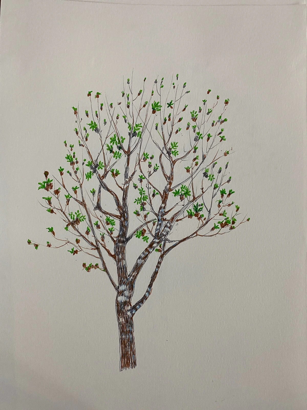 IMG_4152.JPG?type=w3840