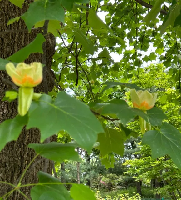 SE-ec3b5f6b-3aa3-4345-9596-38925533b308.jpg?type=w580