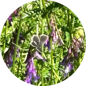 SE-a0afb9e4-2b67-4d45-8d3d-4911f4625f5d.png?type=w3840