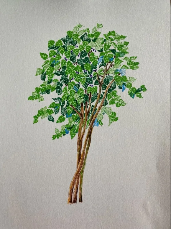 IMG_4206.JPG?type=w580