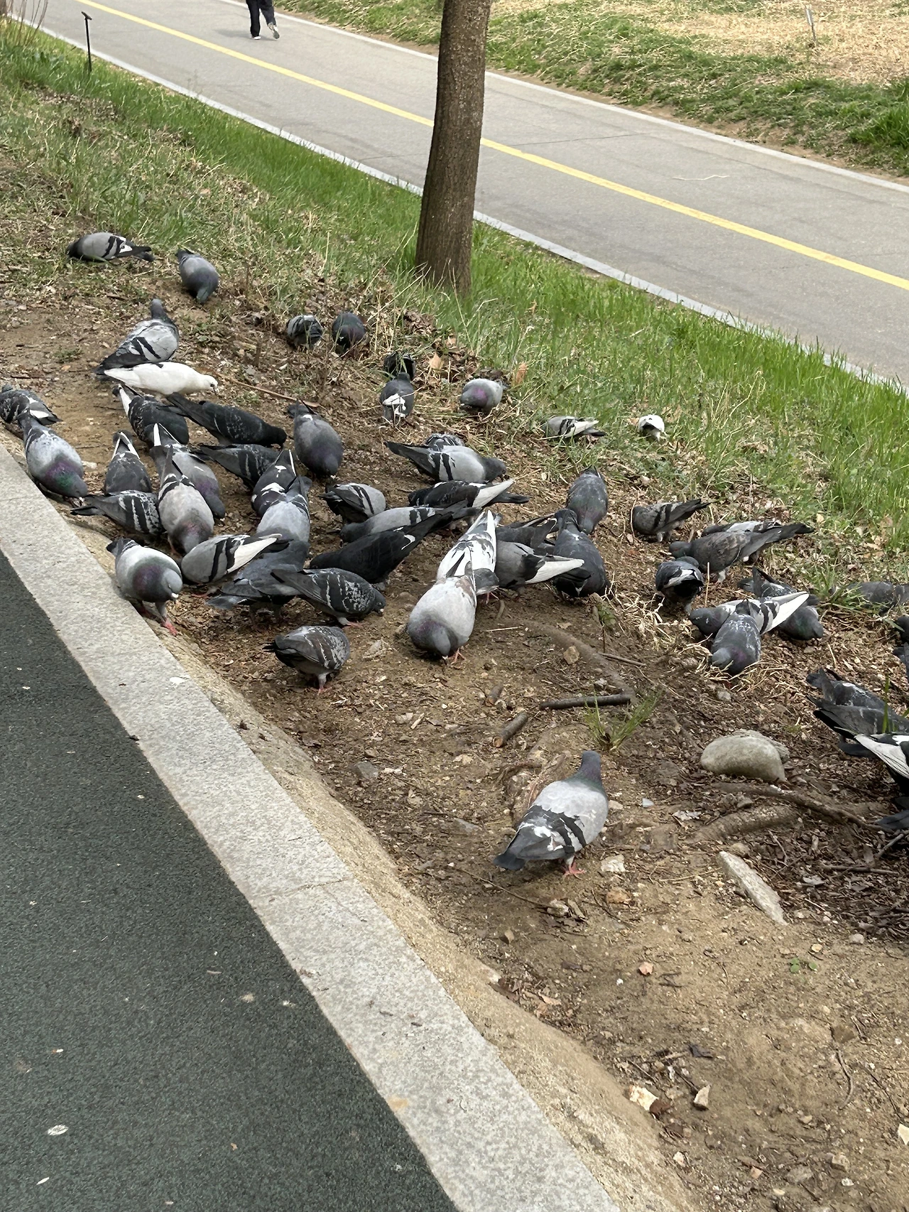 IMG_3422.JPG?type=w3840