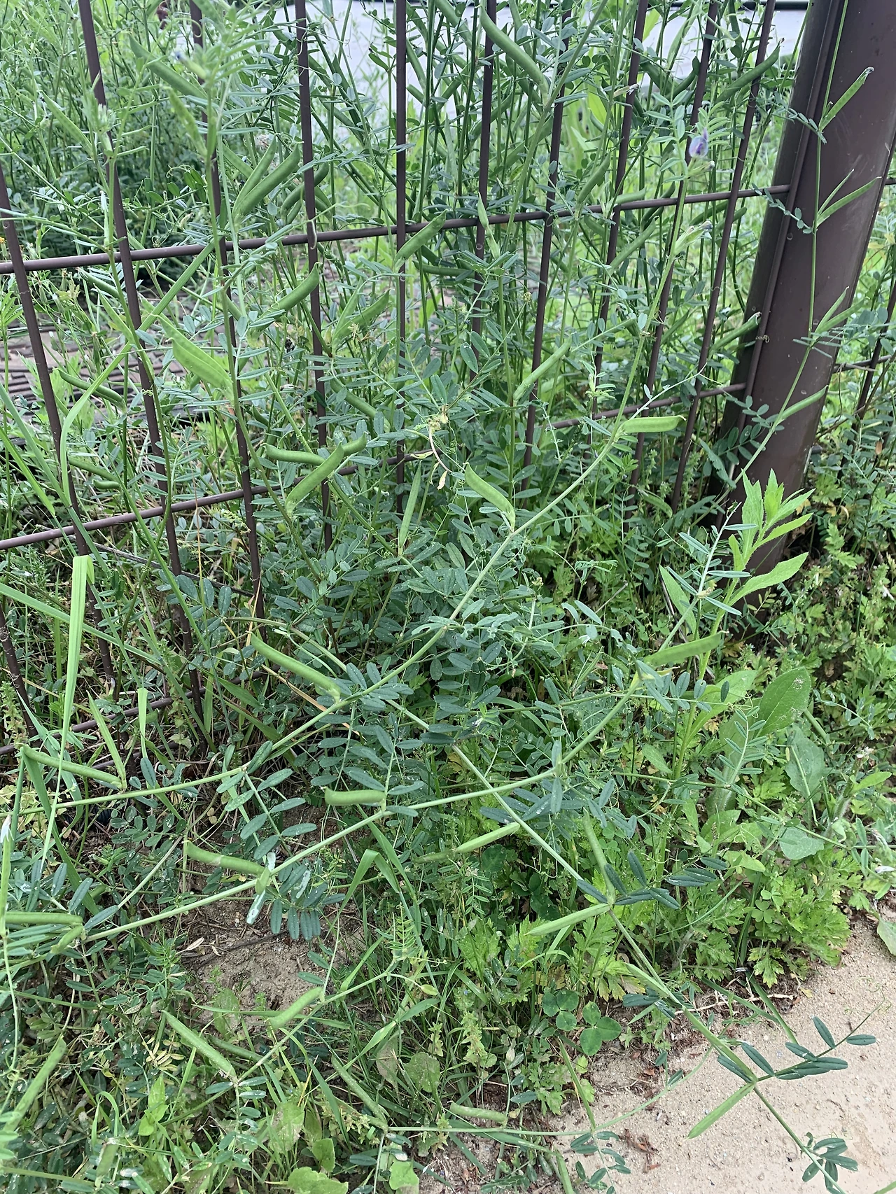 IMG_6852.JPG?type=w3840