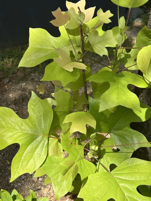 IMG_58791.JPG?type=w580