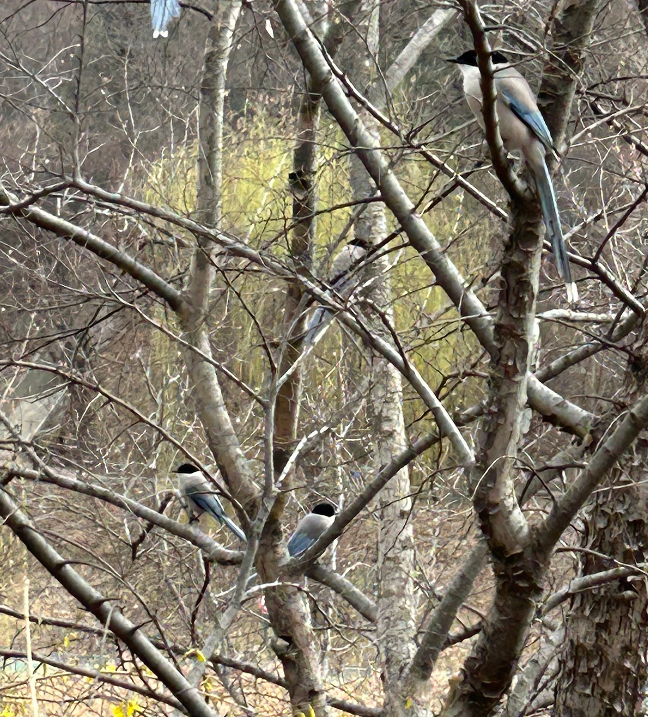 SE-edd46aab-fc83-4c1b-84db-fbdcc933a7c1.jpg?type=w3840