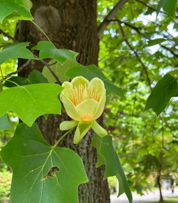 SE-0d1129a7-095b-4ccb-9b79-70a6a685b117.jpg?type=w580