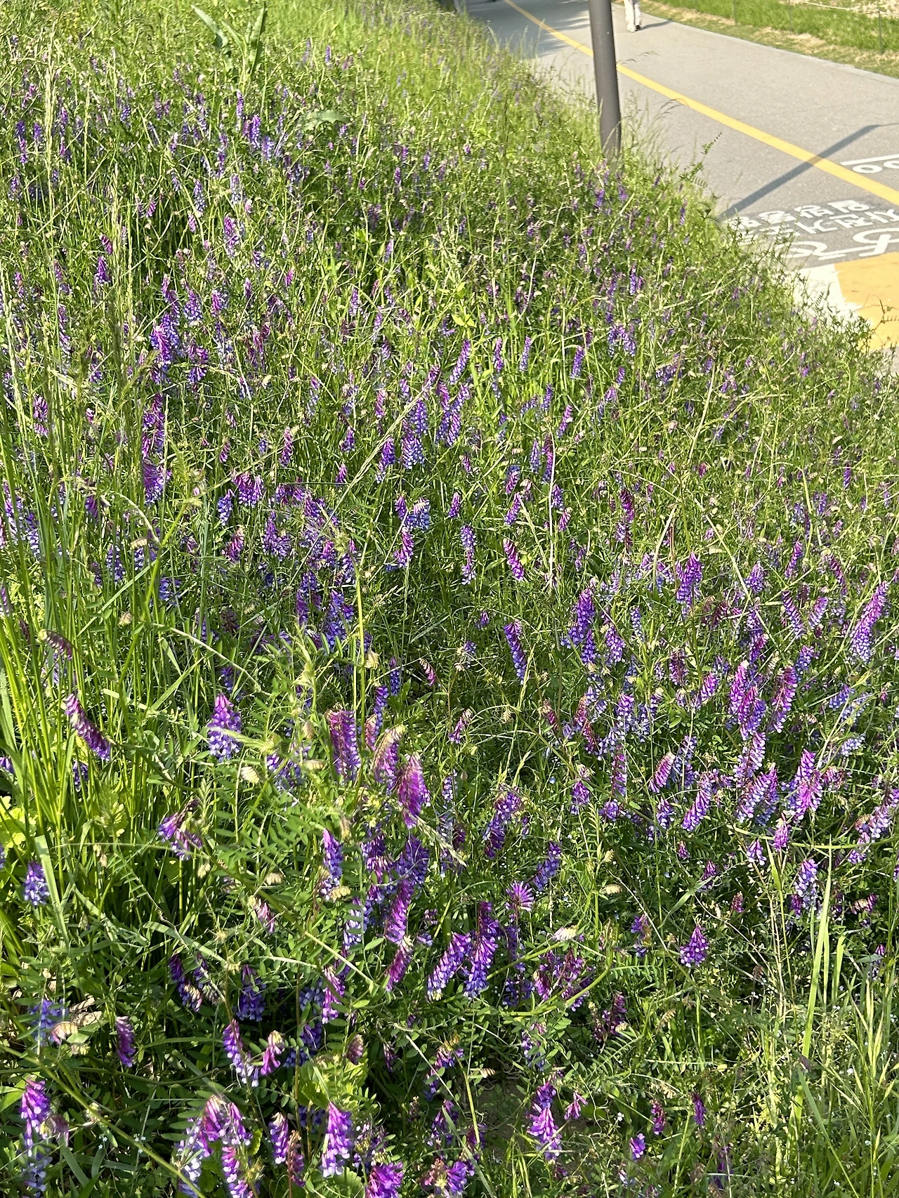 IMG_5451.JPG?type=w3840