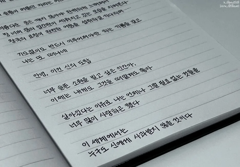 SE-e860b563-c9e4-4bce-8592-8329d521f0fd.jpg?type=w1