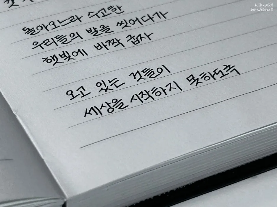 SE-821f33f6-f915-4d96-be98-6193ed2f1c8e.jpg?type=w1