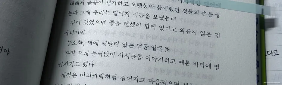 SE-4afd8714-7d03-485b-be41-f371242c4127.jpg?type=w1