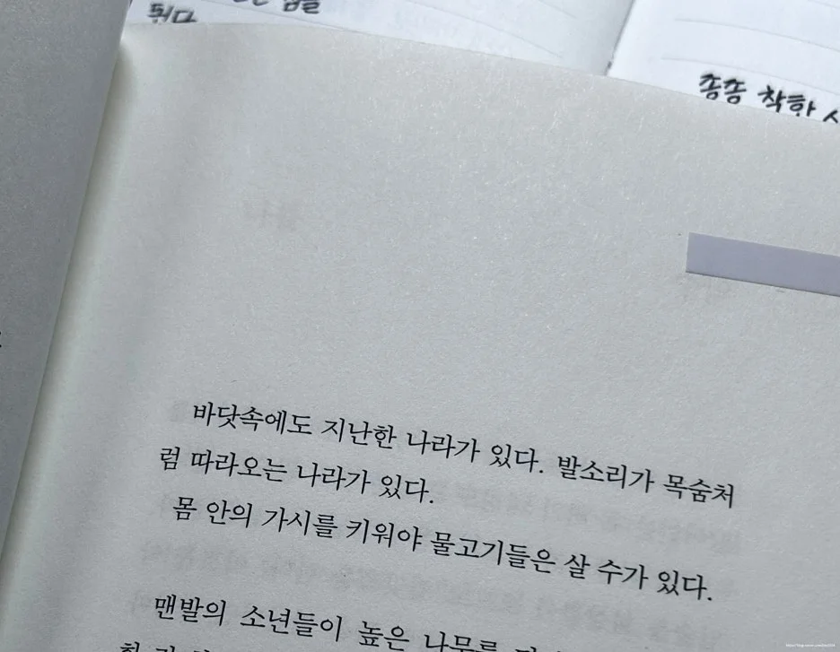 SE-e330df09-b146-4005-8487-8d61363246ad.jpg?type=w1