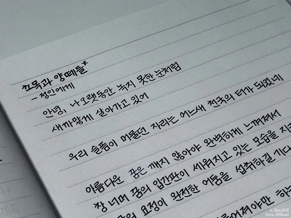 SE-3fb668ae-0ba4-435a-bf84-d29055d83c94.jpg?type=w1