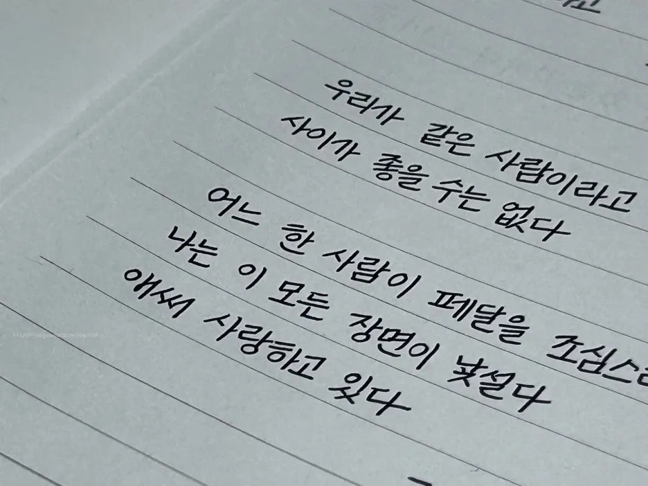 SE-997f51d9-3be7-4434-86e3-51fb4de657f4.jpg?type=w1