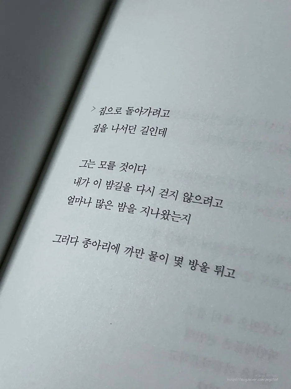 SE-c914f0d7-5d7d-410f-9469-3af98cf9dd5e.jpg?type=w1