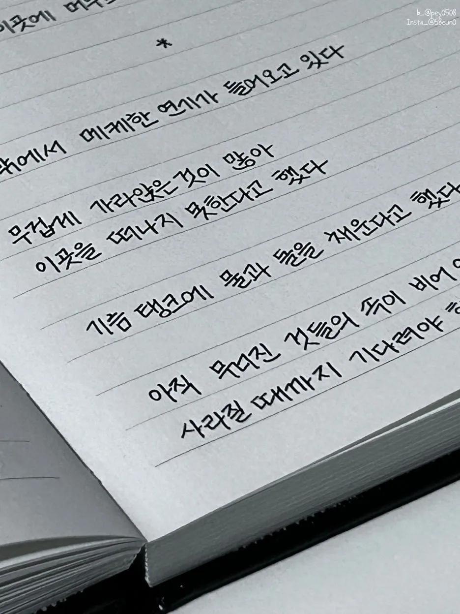 SE-c953b0b3-ba15-4ccc-b29d-6b66a036dc36.jpg?type=w1