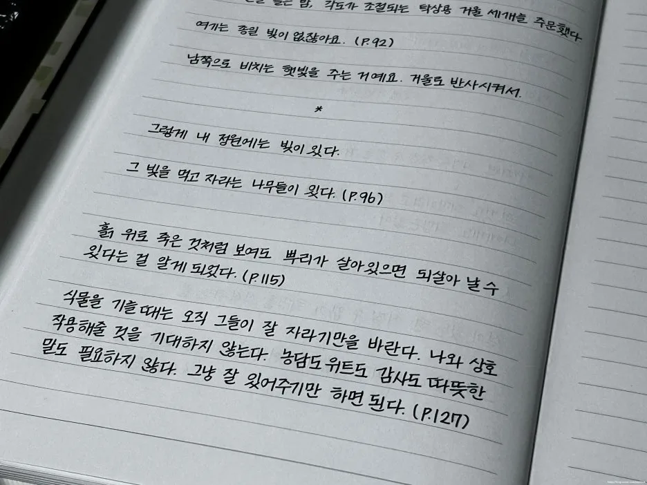 SE-d93e1ed4-27b6-4066-9a18-e10c089eea77.jpg?type=w1