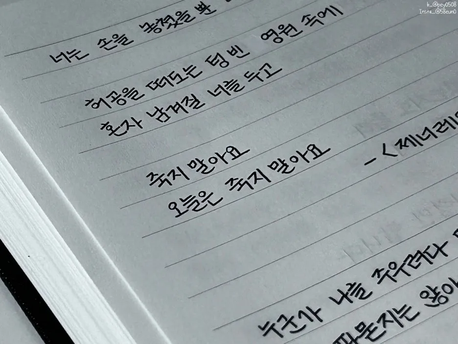 SE-f6ab0121-7eb1-417e-9dd7-48a0c3160c21.jpg?type=w1