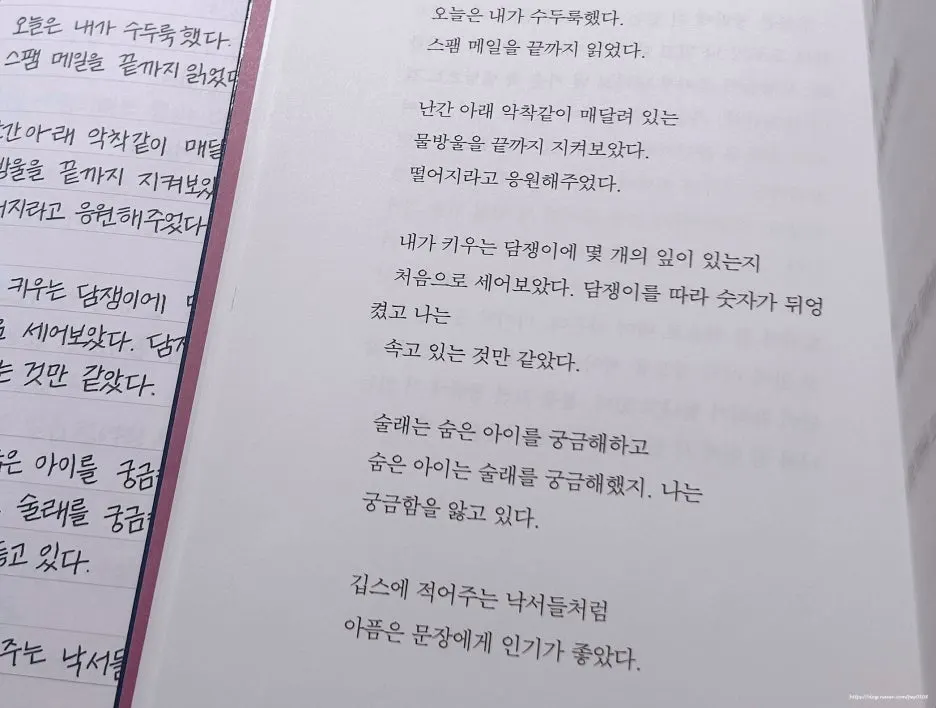 SE-061d95ec-3668-4616-b1ed-fe1985859ae4.jpg?type=w1