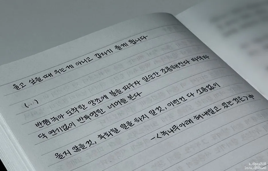 SE-03f72786-8deb-44d6-908d-a6ccf7243aef.jpg?type=w1