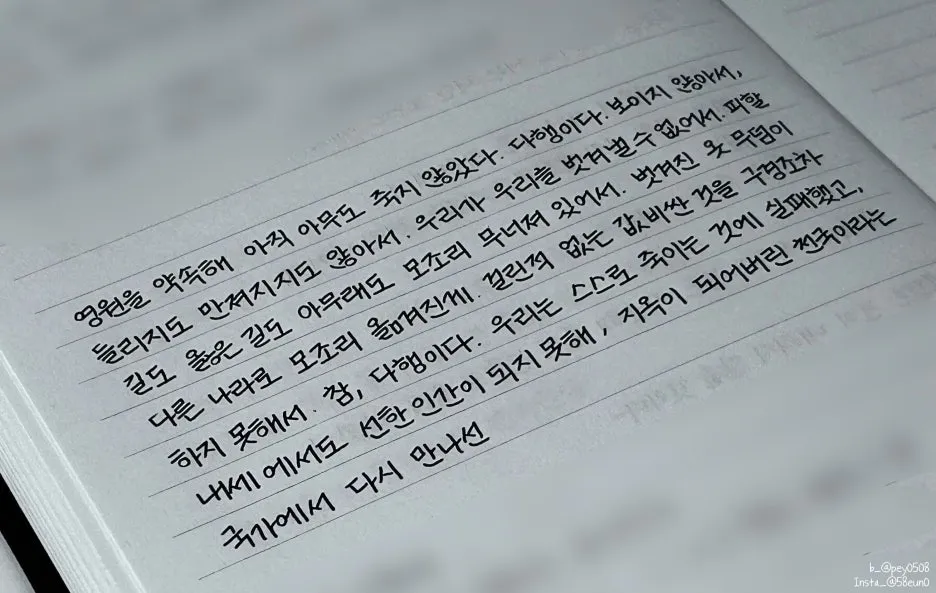 SE-06517cca-f077-4074-8232-5bb022fa7034.jpg?type=w1