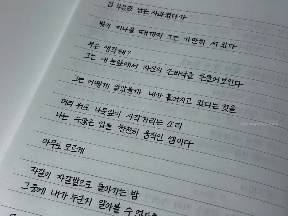 SE-d9d38332-f973-4682-9183-487b51bf54e7.jpg?type=w1