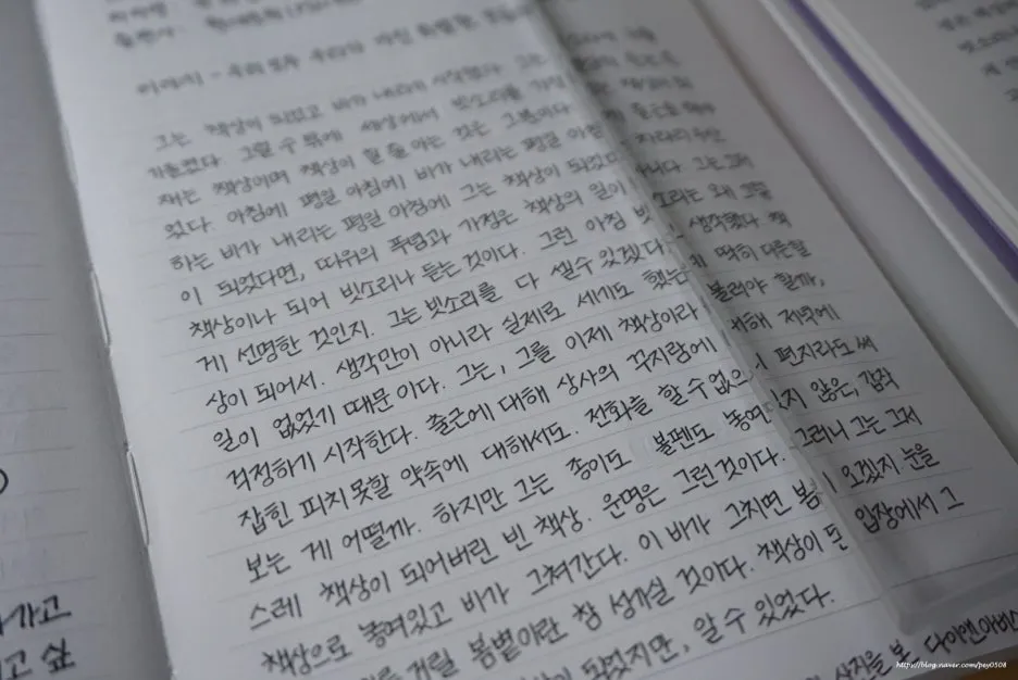 SE-3a340bad-2fab-46f4-aba2-616bbf4ce524.jpg?type=w1