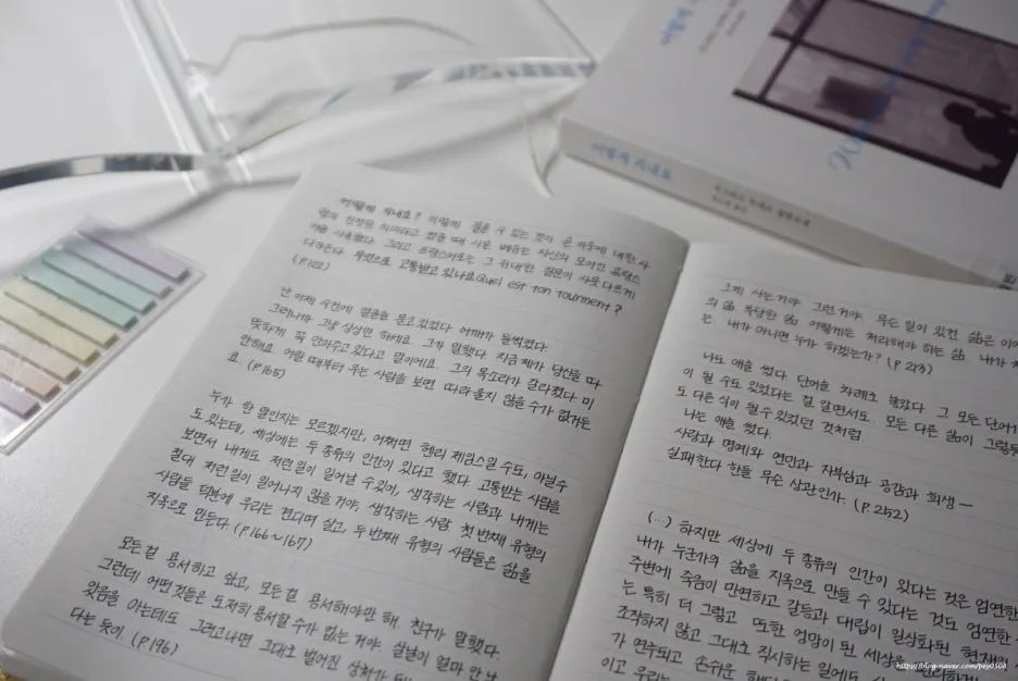 SE-2b9dfccd-b436-4ba4-b5bd-491ca48bfbb2.jpg?type=w1