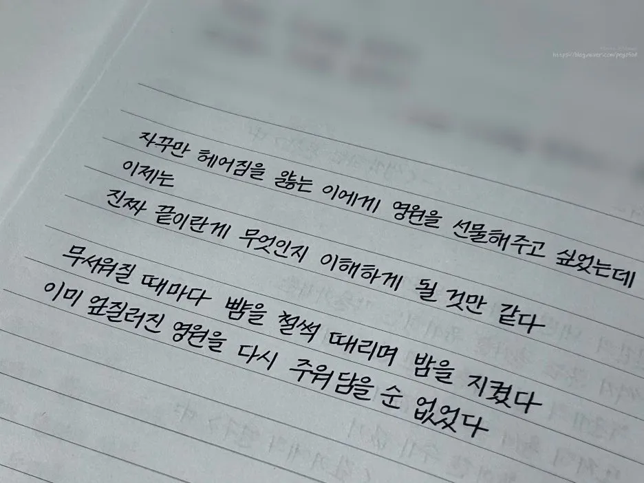 SE-85c8a90a-c551-488b-88c8-0b82e1abf183.jpg?type=w1