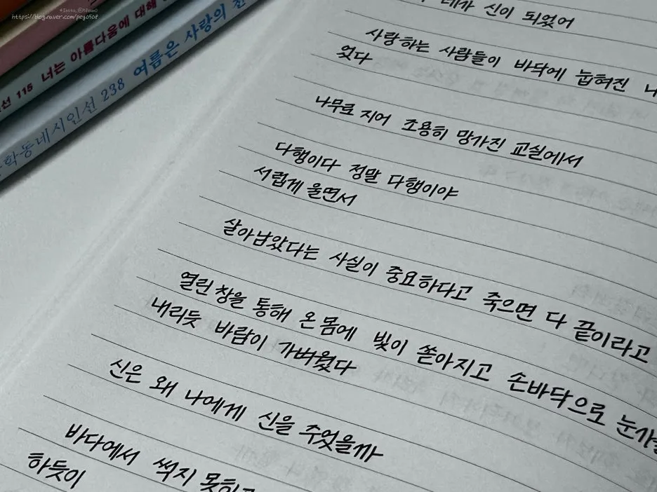 SE-2e709b45-7768-4ada-b4e1-ea7b3a0daf8a.jpg?type=w1