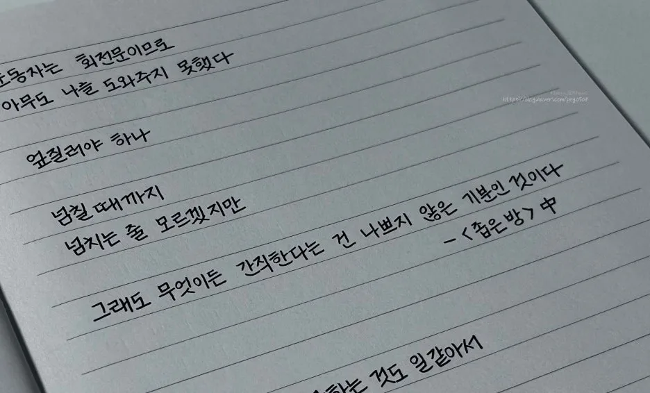 SE-c5e8481c-fba6-469d-b237-e3d0d4a35048.jpg?type=w1