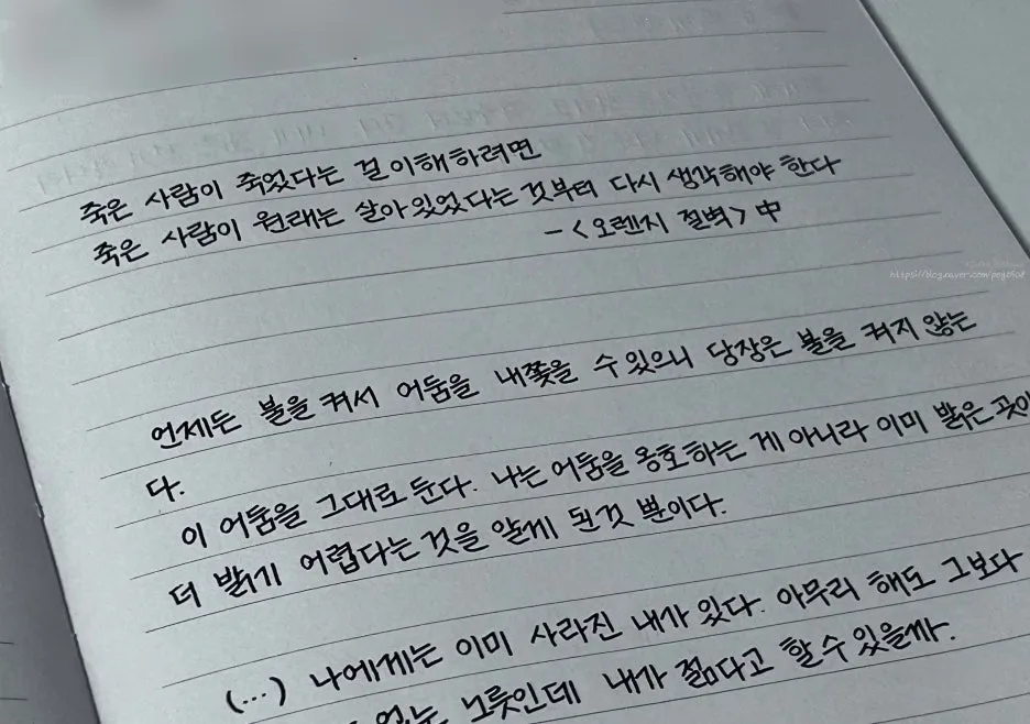 SE-9bed0b01-c861-4ce3-89fe-5259d012a72b.jpg?type=w1