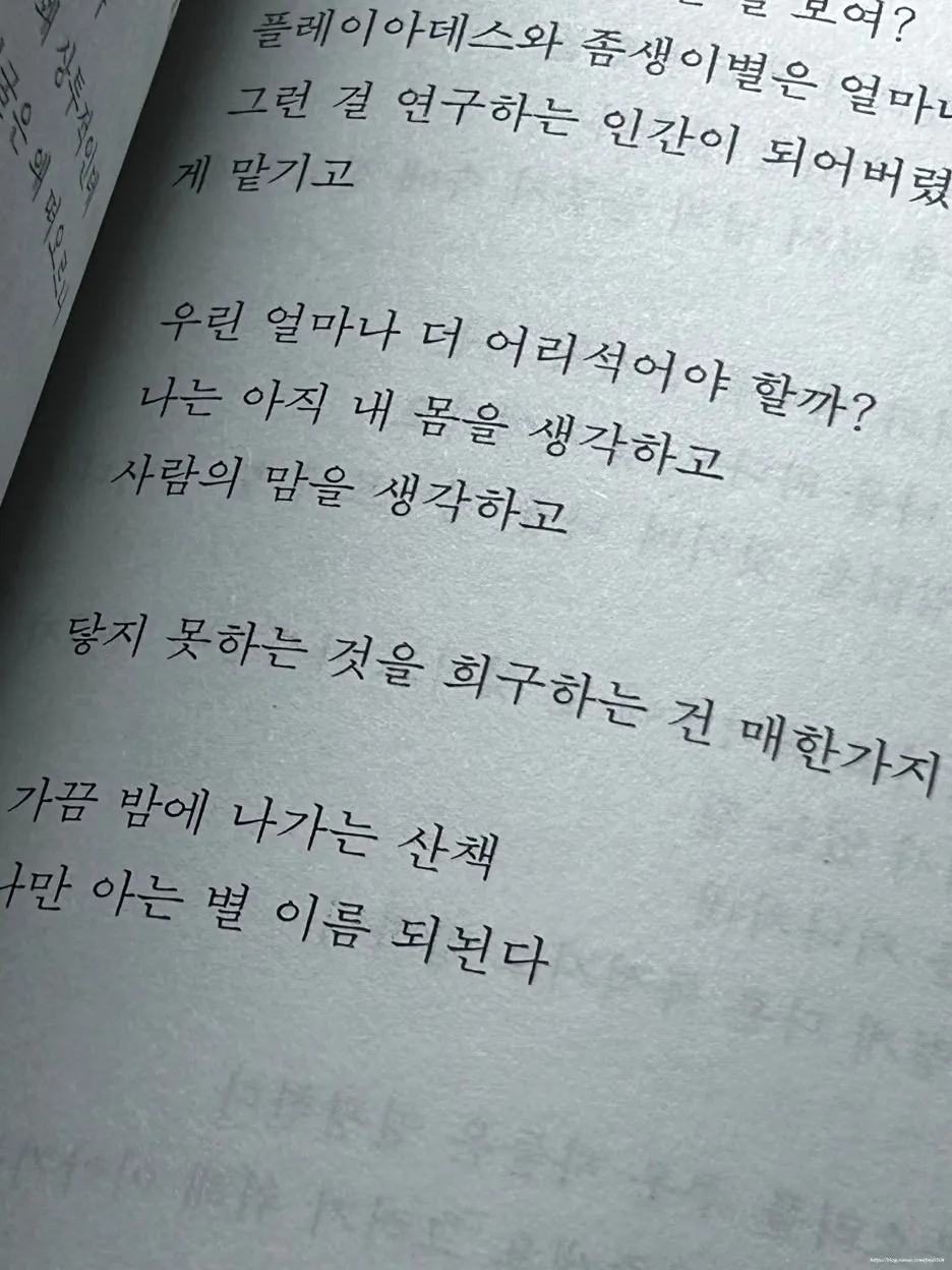 SE-d8adfbec-3859-487d-a87a-90417da5c630.jpg?type=w1