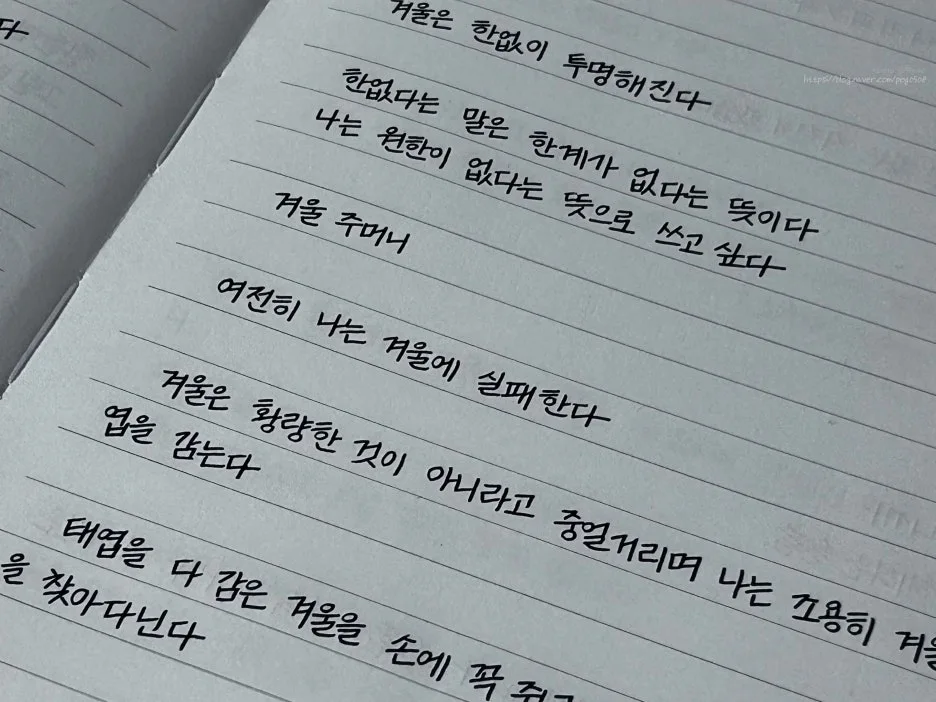 SE-91540e48-0d85-4088-a7ee-70ffa0f80fa0.jpg?type=w1