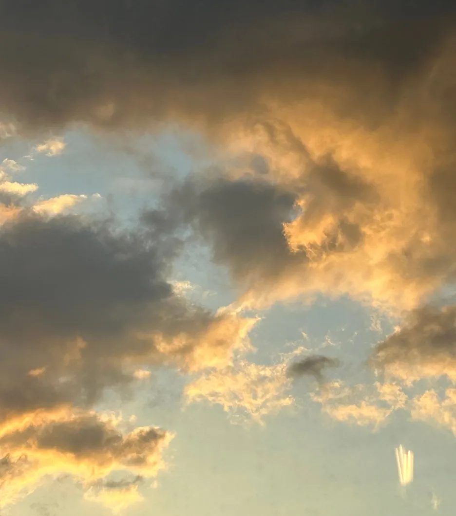 SE-5a6f17f1-8661-4a68-ad37-f4d6e1259f69.jpg?type=w1