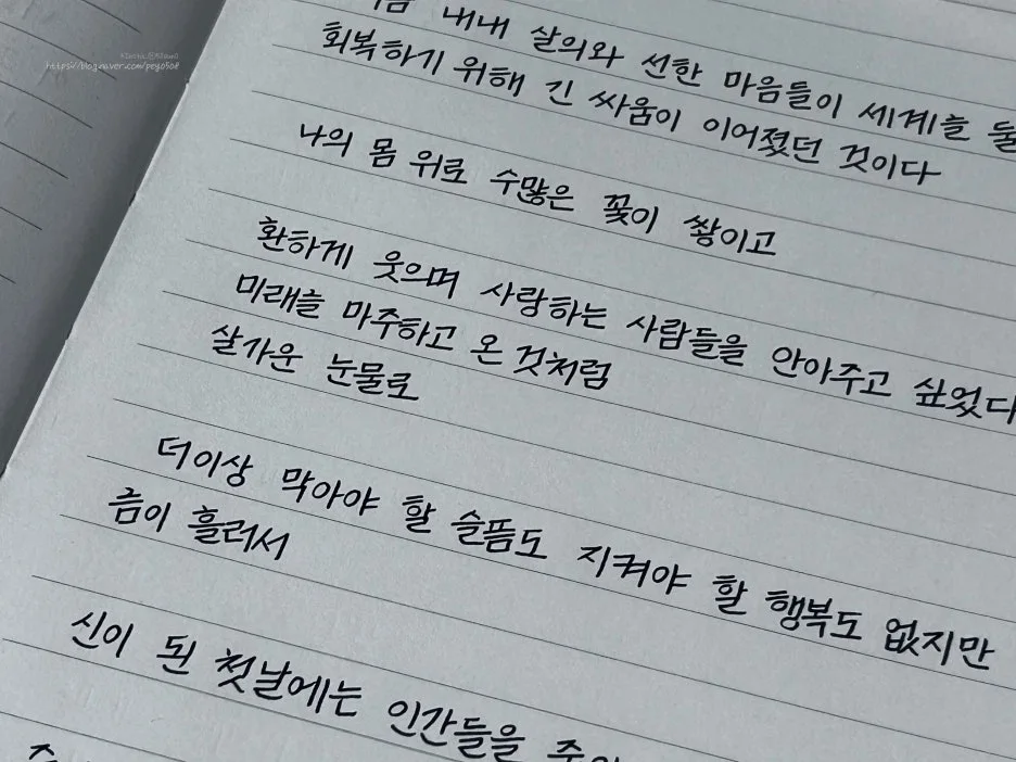 SE-0c248134-af1d-4dd9-817c-5142555bcd12.jpg?type=w1