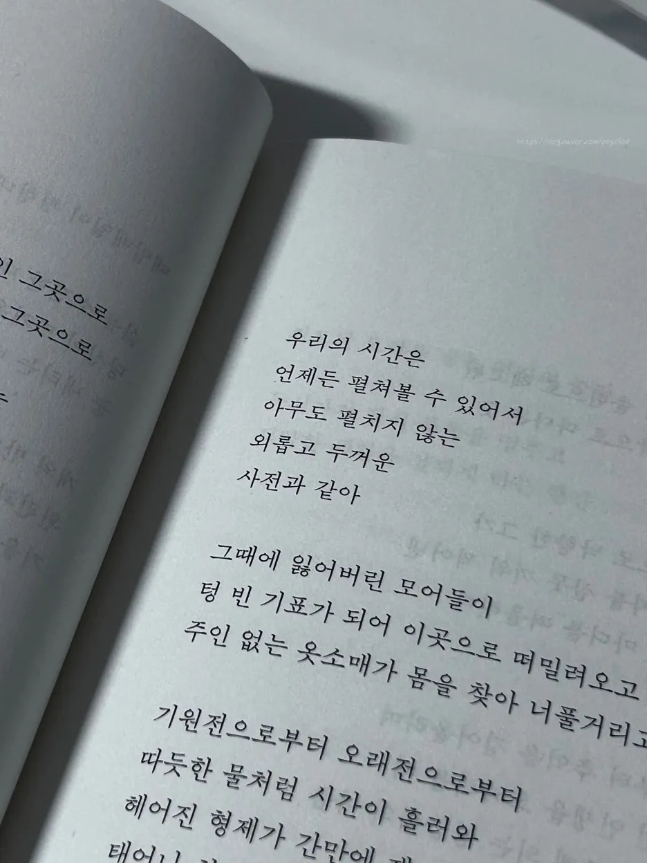 SE-2fe34f23-cfbb-435b-b6d9-fda35f4956ad.jpg?type=w1