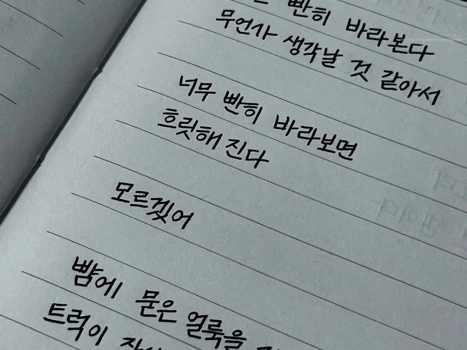 SE-5e54aa4f-2c1c-470b-a605-6112b5c4c6b2.jpg?type=w1