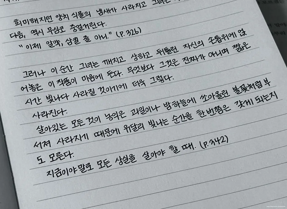 SE-6f4a203a-d581-405a-9aa2-852325b6d3cd.jpg?type=w1