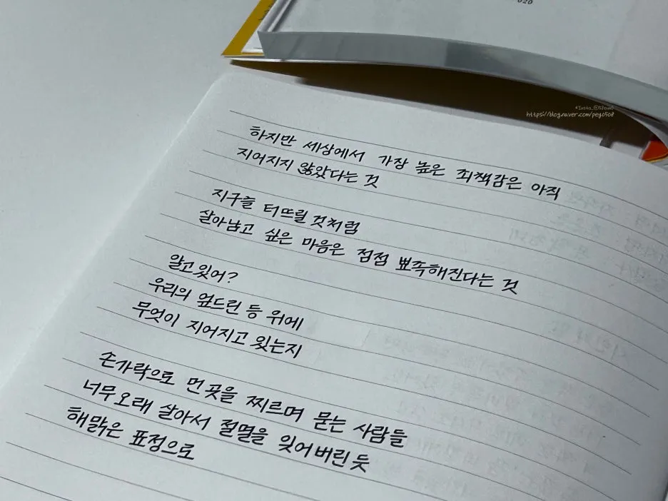 SE-4f4c8fc9-5e86-49a4-b101-013be5569cb4.jpg?type=w1