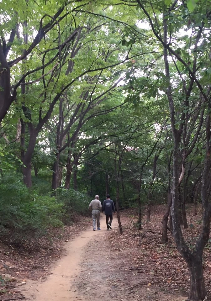 KakaoTalk_20250715_151010389.jpg?type=w966