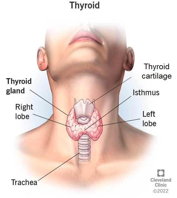 cleveland clinic - 수정.PNG
