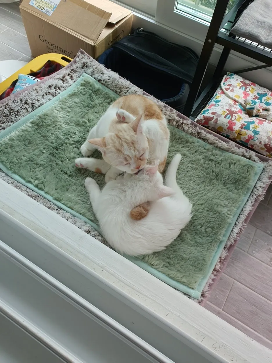 3472523811535484220:4095110.jpg?type=w1