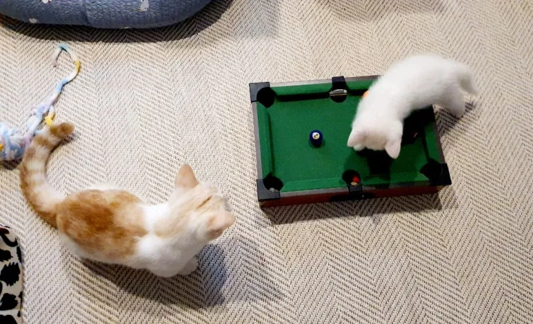 SE-40d661d7-47f3-11ed-bdd6-a322f1fc7dda.jpg?type=w773