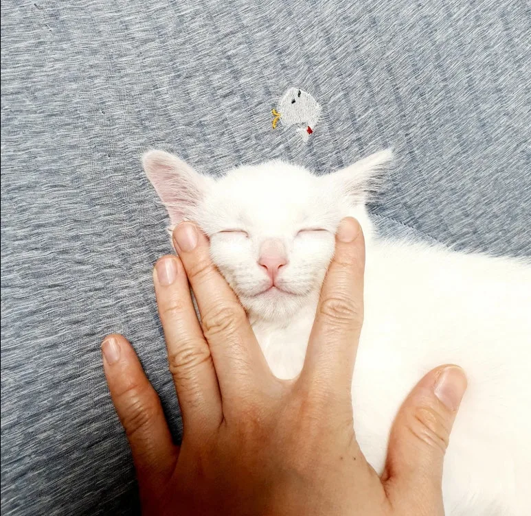 SE-5d044630-6699-42c2-a075-4dee9899b912.jpg?type=w773